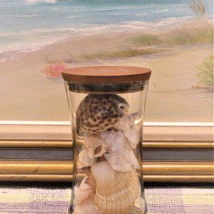 Glass decanter full of sea shells.